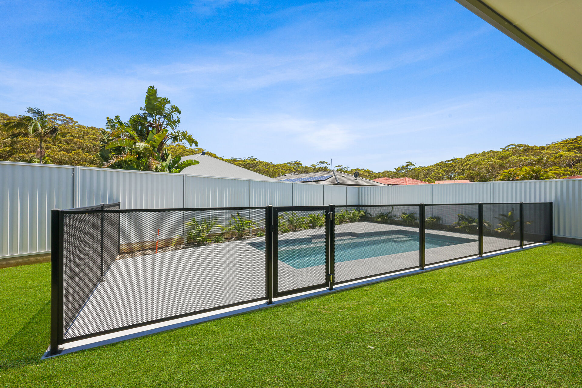 Pure Perf pool fencing in Textured Black around a backyard pool and lawn, NSW Mid North Coast